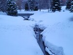 14022025_Samsung Galaxy Note20 Ultra_29th round to Hokkaido_Sapporo Morning_Nakajima Koen00052