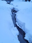14022025_Samsung Galaxy Note20 Ultra_29th round to Hokkaido_Sapporo Morning_Nakajima Koen00053