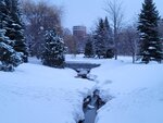 14022025_Samsung Galaxy Note20 Ultra_29th round to Hokkaido_Sapporo Morning_Nakajima Koen00054