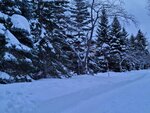 14022025_Samsung Galaxy Note20 Ultra_29th round to Hokkaido_Sapporo Morning_Nakajima Koen00055