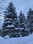 14022025_Samsung Galaxy Note20 Ultra_29th round to Hokkaido_Sapporo Morning_Nakajima Koen00056