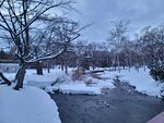 14022025_Samsung Galaxy Note20 Ultra_29th round to Hokkaido_Sapporo Morning_Nakajima Koen00057