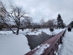14022025_Samsung Galaxy Note20 Ultra_29th round to Hokkaido_Sapporo Morning_Nakajima Koen00058