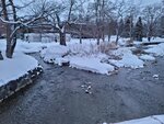 14022025_Samsung Galaxy Note20 Ultra_29th round to Hokkaido_Sapporo Morning_Nakajima Koen00059