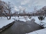 14022025_Samsung Galaxy Note20 Ultra_29th round to Hokkaido_Sapporo Morning_Nakajima Koen00060