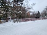 14022025_Samsung Galaxy Note20 Ultra_29th round to Hokkaido_Sapporo Morning_Nakajima Koen00061