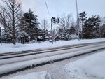 14022025_Samsung Galaxy Note20 Ultra_29th round to Hokkaido_Sapporo Morning_Nakajima Koen00063