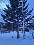 14022025_Samsung Galaxy Note20 Ultra_29th round to Hokkaido_Sapporo Morning_Nakajima Koen_Hoheikan00075