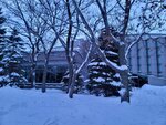 14022025_Samsung Galaxy Note20 Ultra_29th round to Hokkaido_Sapporo Morning_Nakajima Koen_Sapporo Concert Hall00103