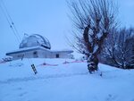 14022025_Samsung Galaxy Note20 Ultra_29th round to Hokkaido_Sapporo Morning_Nakajima Koen_Sapporo Tenmondai00090