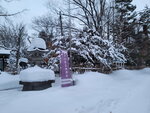 14022025_Samsung Galaxy Note20 Ultra_29th round to Hokkaido_Sapporo Morning_Sapporo Gokokujinja00115
