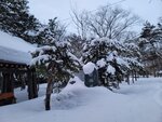 14022025_Samsung Galaxy Note20 Ultra_29th round to Hokkaido_Sapporo Morning_Sapporo Gokokujinja00121