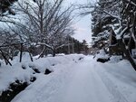 14022025_Samsung Galaxy Note20 Ultra_29th round to Hokkaido_Sapporo Morning_Sapporo Gokokujinja00124