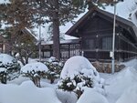 14022025_Samsung Galaxy Note20 Ultra_29th round to Hokkaido_Sapporo Morning_Sapporo Gokokujinja00127