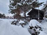 14022025_Samsung Galaxy Note20 Ultra_29th round to Hokkaido_Sapporo Morning_Sapporo Gokokujinja00130