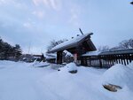 14022025_Samsung Galaxy Note20 Ultra_29th round to Hokkaido_Sapporo Morning_Sapporo Gokokujinja00131