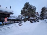 14022025_Samsung Galaxy Note20 Ultra_29th round to Hokkaido_Sapporo Morning_Sapporo Gokokujinja00133