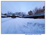 14022025_Samsung Galaxy Note20 Ultra_29th round to Hokkaido_Sapporo Morning_Sapporo Gokokujinja00140