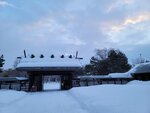 14022025_Samsung Galaxy Note20 Ultra_29th round to Hokkaido_Sapporo Morning_Sapporo Gokokujinja00153