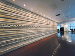 14022025_Samsung Galaxy Note20 Ultra_29th round to Hokkaido_Sapporo T38 JR Tower_Temboudai00012