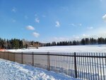 14022025_Samsung Galaxy Note20 Ultra_29th round to Hokkaido_Takino Suzuran Hillside Park00004