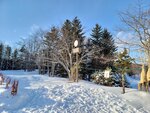 14022025_Samsung Galaxy Note20 Ultra_29th round to Hokkaido_Takino Suzuran Hillside Park00007