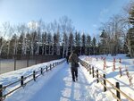 14022025_Samsung Galaxy Note20 Ultra_29th round to Hokkaido_Takino Suzuran Hillside Park00008