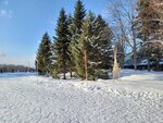 14022025_Samsung Galaxy Note20 Ultra_29th round to Hokkaido_Takino Suzuran Hillside Park00017