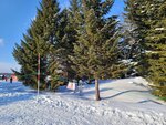 14022025_Samsung Galaxy Note20 Ultra_29th round to Hokkaido_Takino Suzuran Hillside Park00020