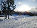 14022025_Samsung Galaxy Note20 Ultra_29th round to Hokkaido_Takino Suzuran Hillside Park00033