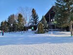 14022025_Samsung Galaxy Note20 Ultra_29th round to Hokkaido_Takino Suzuran Hillside Park00035