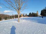 14022025_Samsung Galaxy Note20 Ultra_29th round to Hokkaido_Takino Suzuran Hillside Park00036