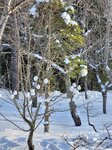 14022025_Samsung Galaxy Note20 Ultra_29th round to Hokkaido_Takino Suzuran Hillside Park00043