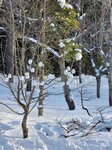 14022025_Samsung Galaxy Note20 Ultra_29th round to Hokkaido_Takino Suzuran Hillside Park00044
