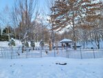 14022025_Samsung Galaxy Note20 Ultra_29th round to Hokkaido_Takino Suzuran Hillside Park00048