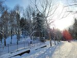 14022025_Samsung Galaxy Note20 Ultra_29th round to Hokkaido_Takino Suzuran Hillside Park00052