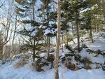 14022025_Samsung Galaxy Note20 Ultra_29th round to Hokkaido_Takino Suzuran Hillside Park00055