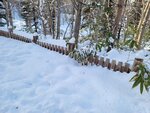 14022025_Samsung Galaxy Note20 Ultra_29th round to Hokkaido_Takino Suzuran Hillside Park00057