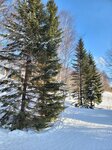 14022025_Samsung Galaxy Note20 Ultra_29th round to Hokkaido_Takino Suzuran Hillside Park00058