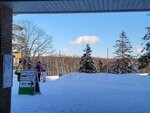14022025_Samsung Galaxy Note20 Ultra_29th round to Hokkaido_Takino Suzuran Hillside Park00098