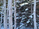 14022025_Samsung Galaxy Note20 Ultra_29th round to Hokkaido_Takino Suzuran Hillside Park00099
