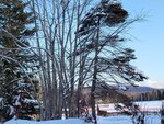 14022025_Samsung Galaxy Note20 Ultra_29th round to Hokkaido_Takino Suzuran Hillside Park00100