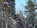 14022025_Samsung Galaxy Note20 Ultra_29th round to Hokkaido_Takino Suzuran Hillside Park00101