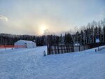 14022025_Samsung Galaxy Note20 Ultra_29th round to Hokkaido_Takino Suzuran Hillside Park00106