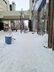 15022025_Samsung Galaxy Note20 Ultra_29th round to Hokkaido_Susukino Morning00012