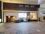 15022025_Samsung Galaxy Note20 Ultra_29th round to Hokkaido_Susukino Morning00027
