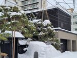 15022025_Samsung Galaxy Note20 Ultra_29th round to Hokkaido_Susukino Morning00115