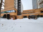 15022025_Samsung Galaxy Note20 Ultra_29th round to Hokkaido_Susukino Morning00139