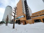 15022025_Samsung Galaxy Note20 Ultra_29th round to Hokkaido_Susukino Morning00140