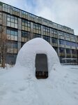 15022025_Samsung Galaxy Note20 Ultra_29th round to Hokkaido_Susukino Morning00149